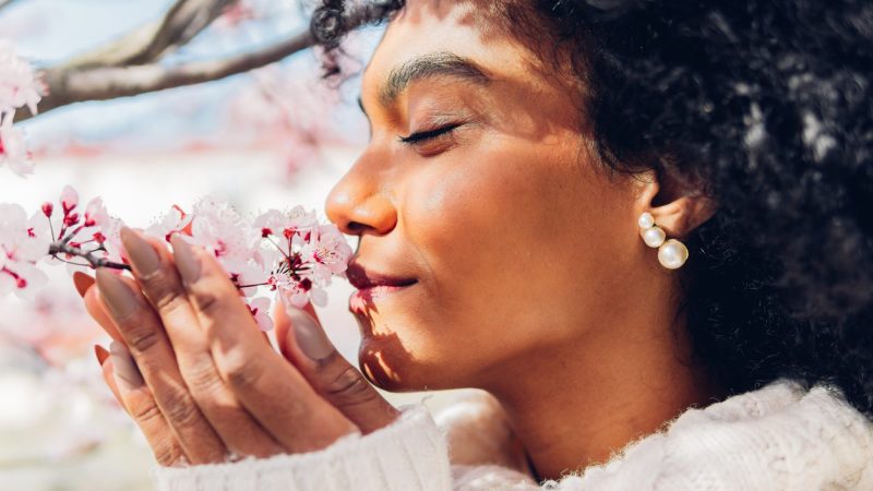 Beautiful African American woman smelling the soft, fresh and natural scent of pink flowers in spring in bloom. Concept of softness, delicacy, purity, femininity, dream of relaxation.