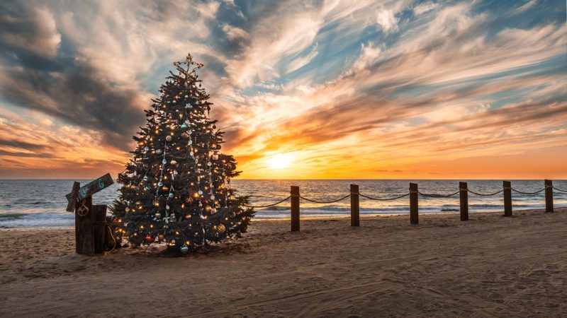 A decorated and lit Christmas tree on the beach in Southern California