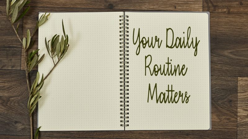 Your Daily Routine Matters concept for practice of regularly notebook with olives leaves on wood table